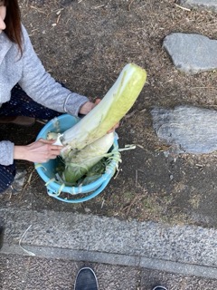 ボディブロックサムネイル